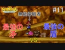 「ねがいごと」を守る冒険へ【マリオストーリー】＃11