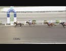 2021年9月20日高知競馬6R 土佐和紙特別(3歳-2組) マイネルボーダレス