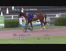 第33回珊瑚冠賞 パドック～本馬場入場