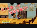 「ねがいごと」を守る冒険へ【マリオストーリー】＃12