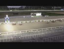 ＪＢＣクラシック指定競走 第33回珊瑚冠賞 スペルマロン