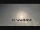 20日目：The harvest moon