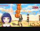 カボチャ運びに大苦戦！？【ゼルダの伝説 スカイウォードソードHD】Part４５