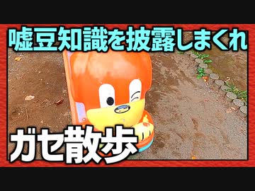 何も為にならない嘘豆知識を披露しよう！「ガセ散歩」Part2