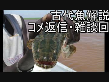 【ゆっくり解説】現生の古代魚解説　コメント返信回20210921【アクアリウム】