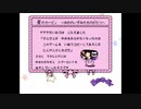 星のカービィ 夢の泉の物語 anti piracy screen