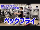 【筋トレ解説・大胸筋】ペックフライ【筋トレライブラリー】