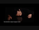 Susumu Hirasawa - Adios