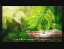 Sustainability Initiatives For Business