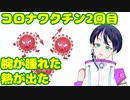 ファンキキの新型コロナウイルスワクチン2回目接種後の副反応はこんな感じ【雑談