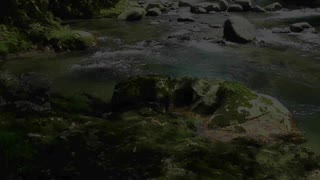 Zckkjkhnaubnom