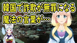 韓国で借金を踏み倒す事が法的に認められる魔法の言葉がこちら！〇〇という事情を説明していれば詐欺罪として処罰する事は出来ない【世界の〇〇にゅーす】