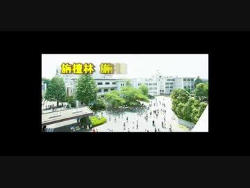 栴檀林