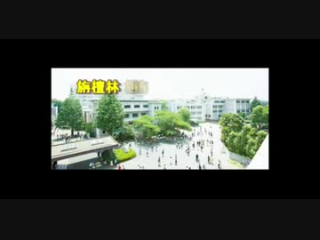 栴檀林