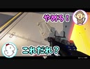味方の死体打ちは許される？【APEX】