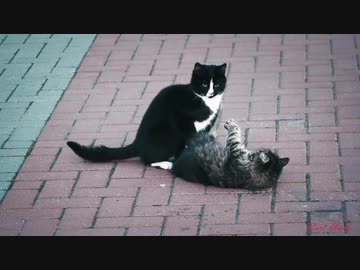 【ゲーム】カールおじさんを探せ！ パート７