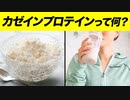 【カゼインプロテインのメリットとおすすめの摂取タイミング【ビーレジェンド プロテイン】
