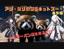 アリ・ミリのプラネットズー#番外編1　レッサーパンダを見るだけ