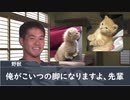 子猫を育てる先輩【Part7】