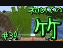 ドキッ！初心者だらけのマインクラフト【2人実況】part39