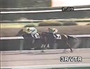 1997年、4歳未勝利戦　カゼノオー