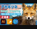 ドM無駄作業：イラストレーター（Adobe illustrator）パスの切り抜き作業動画（アカギツネ・赤狐.ver）2倍速