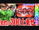 司芭扶が馬と亀で踊った結果【SEVEN'S TV #576】