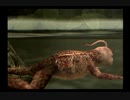 あの生物と同居生活始めました。【シーマン～禁断のペット】実況プレイ。23日目