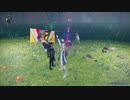 【PSO2NGS】僕と守護輝士とシバでネクス・ヴェラ討伐【Ship9】