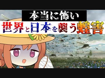 本当に怖い世界と日本を襲う蝗害【VOICEROID解説】