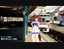 ナイスネイチャと電車で帰る動画