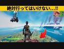 【小技集】高度限界を余裕で超えるチート級足場知ってますか？シーズン８最強バグ小技裏技集！【FORTNITE/フォートナイト】