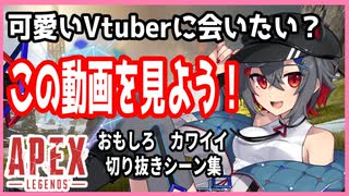 【Apex】電子猫系Vliverはむちです。【切り抜き集】