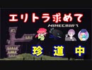 【マインクラフト】エンドシティで珍道中