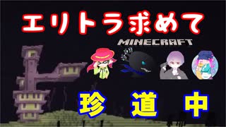 【マインクラフト】エンドシティで珍道中