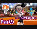 ポケモン剣ではエール団(悪)のポケモン縛りでやっていくPart9