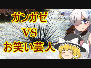 迷惑すぎるガンガゼの生態[VOICEROID毒性生物解説]