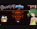 【ゆっくり実況】この厄災の只中で part79【Terraria Calamity&Spirit】