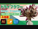 ドM無駄作業：イラストレーター（Adobe illustrator）パスの切り抜き作業動画（フドライフラワー.ver）4倍速