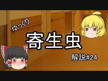 【ゆっくり解説】ゆっくり寄生虫解説#24~横川吸虫~