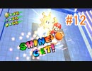 今更はじめるスーパーマリオサンシャイン　その12