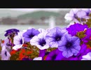Flower×Flower @nagayama