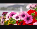 Flower×Flower @nagayama