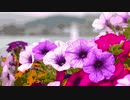 Flower×Flower @nagayama