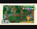 【実況】みんなあつまれ どうぶつの森 #85
