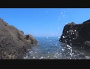 ある日の磯の波音と，うごめくフナムシ