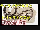 【ゆっくり解説】モンタナ・デュエリング・ダイナソーズ【ゆっくり恐竜解説±0】お試し視聴版