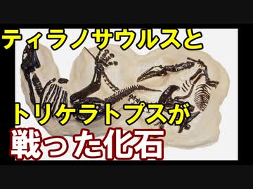 【ゆっくり解説】モンタナ・デュエリング・ダイナソーズ【ゆっくり恐竜解説±0】お試し視聴版