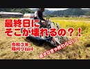 令和３年度の稲刈りday４