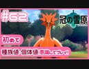 【ポケモン剣盾/DLC2冠の雪原】ポケモン好きが、初めて種族値・個体値を意識し冒険！【実況】#62